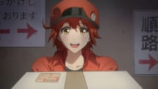 O sangue ferve! Com uma história que se passa dentro do corpo humano, Hataraku  Saibou ganha novos nomes no elenco - Crunchyroll Notícias