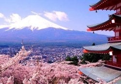 Fakt oder Fälschung? 25 Lügen über Japan