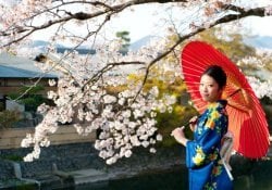 15 cosas que debe saber antes de viajar a Japón