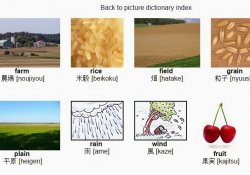 Dicionário de figuras online – japonês e outros idiomas