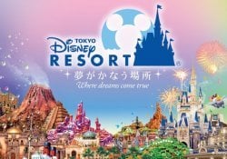 Disney von Japan und Disney Sea kennenlernen