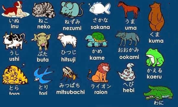 일본어 동물 - doubutsu [動物]