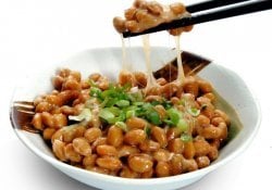 10 Makanan Aneh dari Jepang