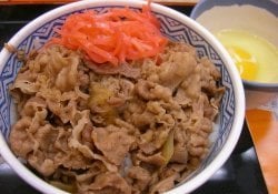牛丼 丼+レシピ