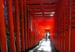 O significado por trás do Torii: Descubra os 5 maiores portais no Japão