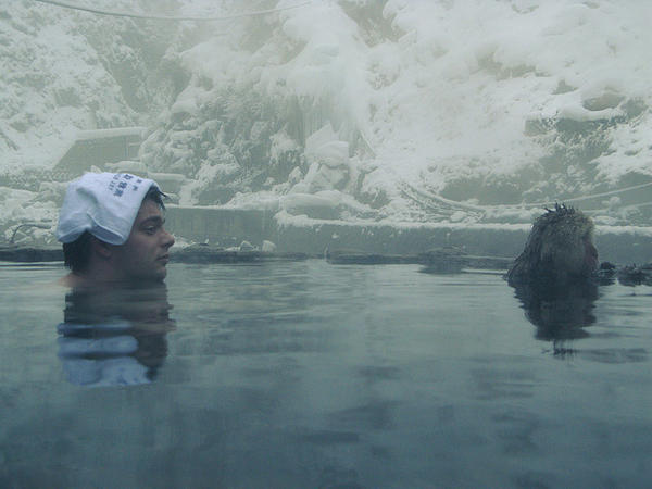 Onsen - fontes termais naturais do japão