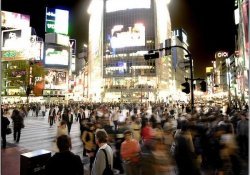 23 barrios de Tokio que debes visitar