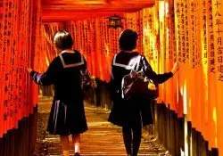 معنى torii - أكبر 5 بوابات في اليابان