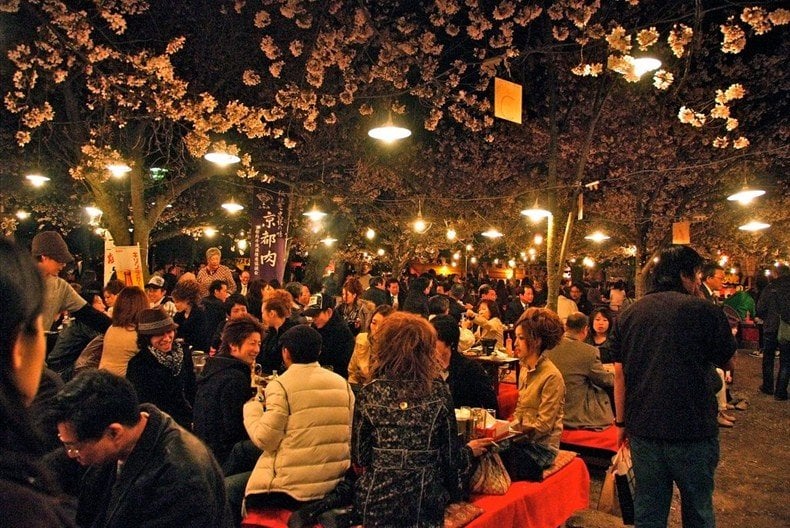 Sakura - tudo sobre as cerejeiras do japão