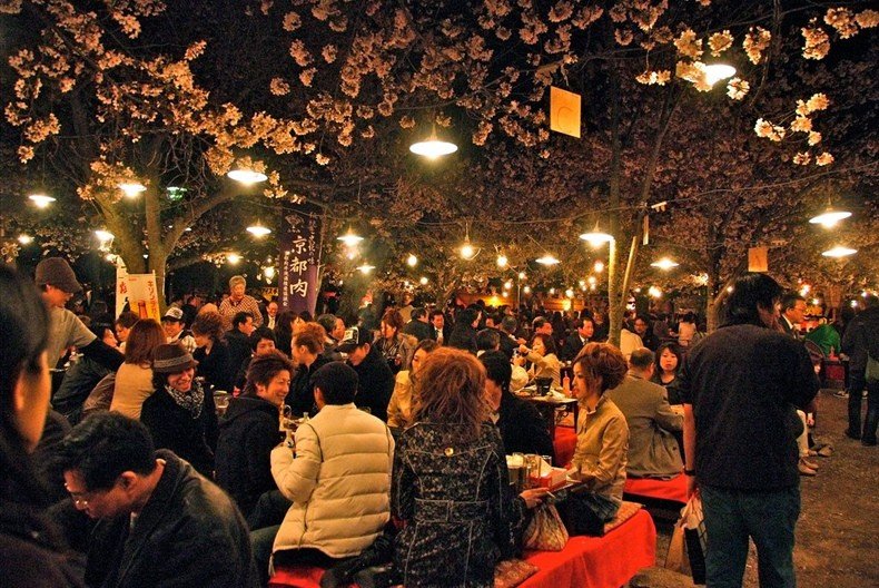 Hanami (cherry blossom viewing)