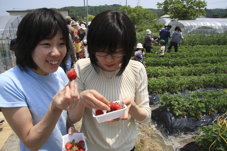 5 estações japonesas