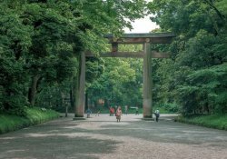 Arti torii – 5 portal terbesar di Jepang