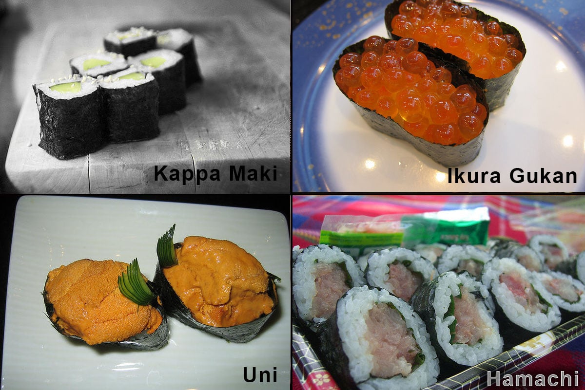 Types of sushi, urumaki, hossomaki and nigiri, urumaki
