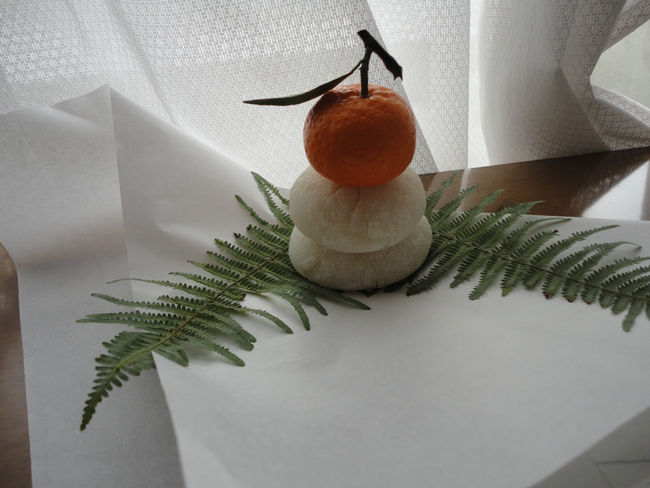 Buah jeruk Jepang - yuzu, kinkan, daidan dan sudachi