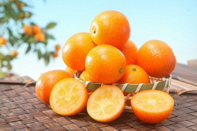 japan trái cây cam quýt - yuzu, kinkan, daidan và sudachi