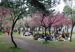 Kyoto Imperial Palace Park und Garten