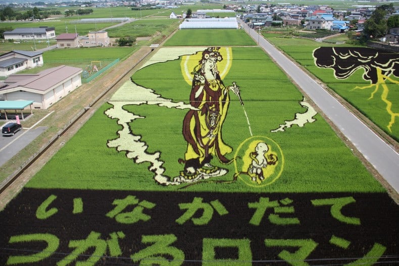 Arte no arroz