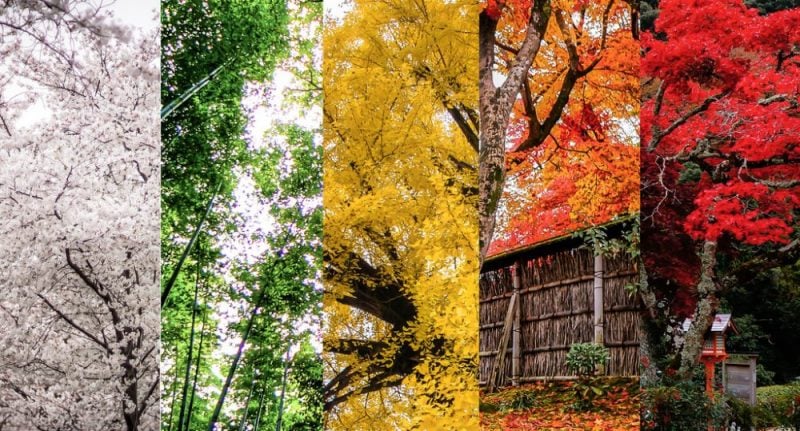Die 11 japanischen Jahreszeiten / Jahreszeiten / Jahreszeiten