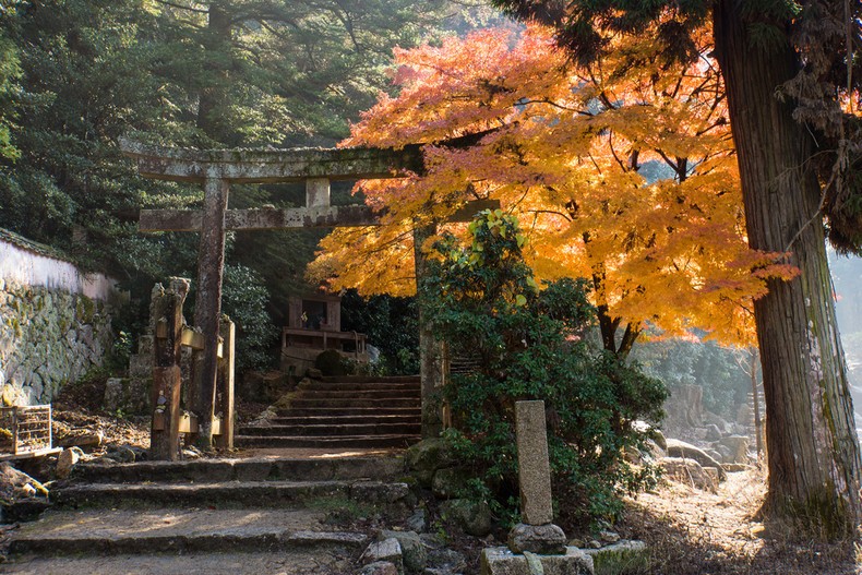 Jepang di musim kapan gugur 10 Festival