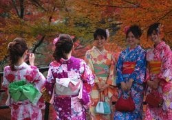 Seijin no Hi dan Mayoritas di Jepang