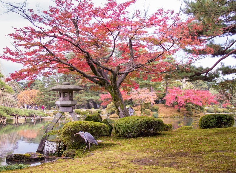 Aki - Musim Gugur di Jepang