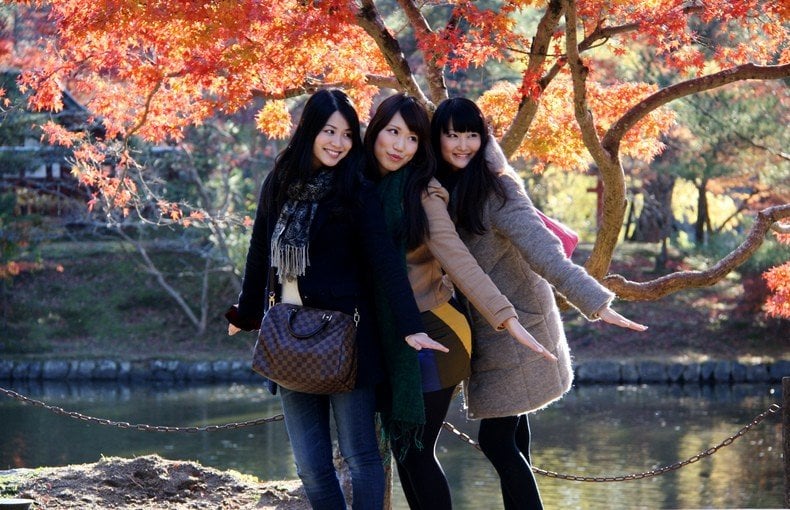 Aki - autumn season in japan