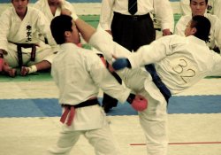 Karate - Giới thiệu về môn võ Nhật Bản bằng bàn tay trống