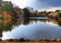 Vườn Nhật Bản - Hướng dẫn đến các khu vườn truyền thống của Nhật Bản