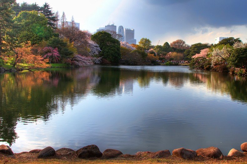 Jardim japonês - shinjuku gyoen - em shinjuku e shibuya