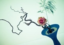 Ikebana - the Japanese art of floral arrangements