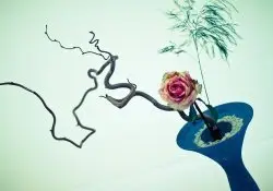 إيكيبانا - فن تنسيق الأزهار الياباني