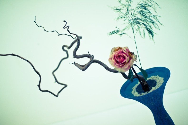 Ikebana - a arte japonesa dos arranjos florais - ikebana flores capa 2
