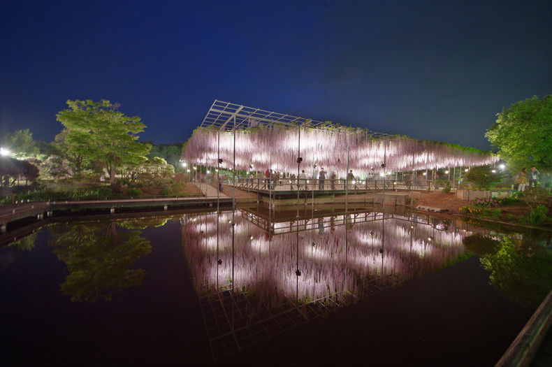 Ashikaga - curiosities and attractions