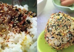 Furikake-日本调味料放在米饭上