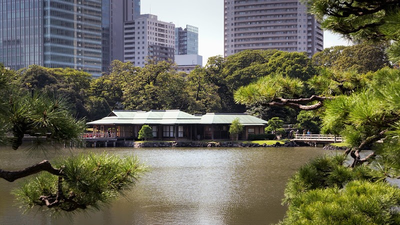 Hamarikyu garden - chuo