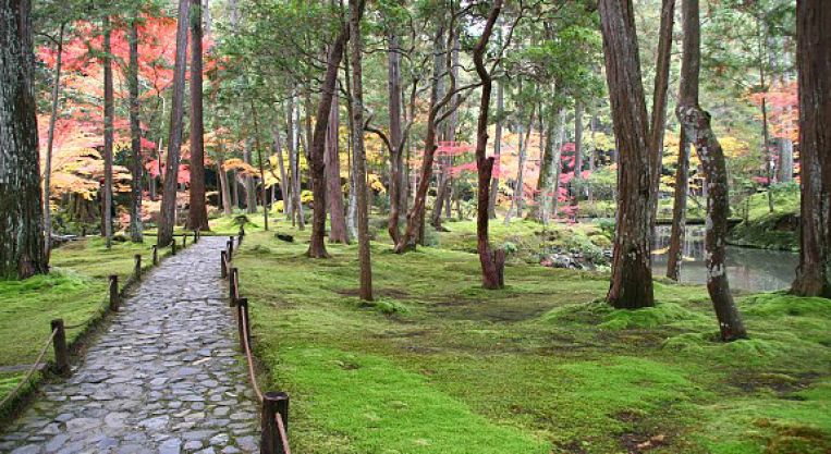 The best Japanese gardens in Kansai