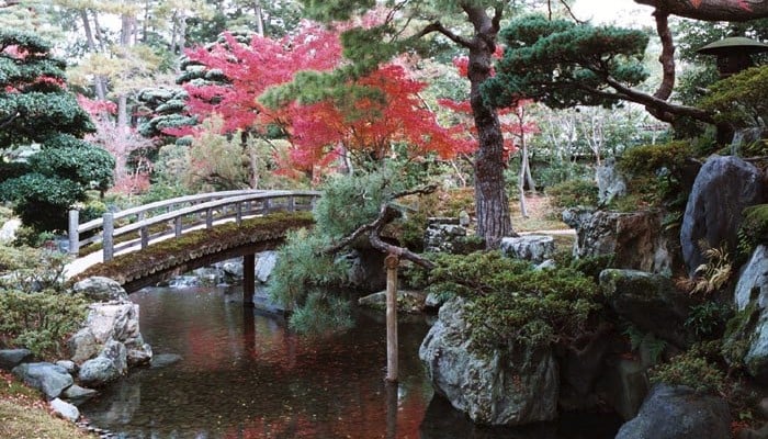 khu vườn hoàng cung tokyo
