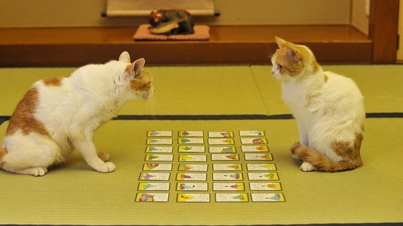 Karuta - o jogo dos 100 poemas