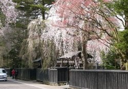 Akita – Kakunodate et Nyuto-onsen