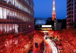 Natal di Jepang – Bagaimana orang Jepang merayakan Kurisumasu?