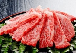 Noms et types de viande et de poisson japonais