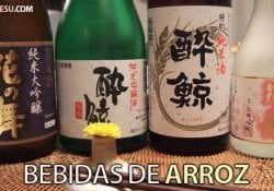 Sake - Todo sobre la bebida japonesa hecha a base de arroz