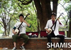 Shamisen - Instrumento musical japonês de 3 cordas