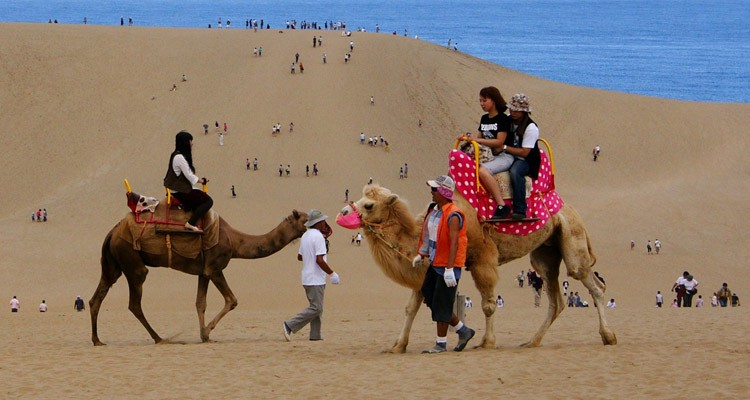 Deserto no japão - as dunas de tottori sakyu