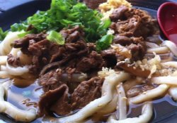 うどん-太い和麺