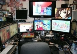 How does otaku culture affect your likes?