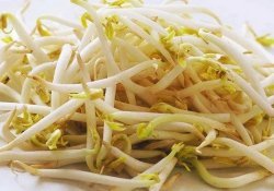 Moyashi - bean sprouts - cheap and nutritious