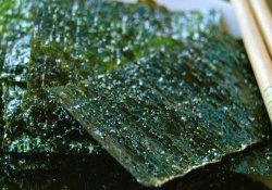 Nori: todo sobre las famosas algas utilizadas en el sushi