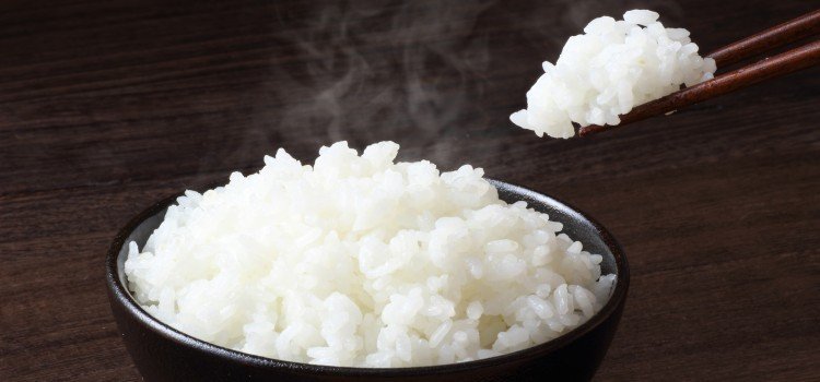 Gohan - learn about Japanese rice