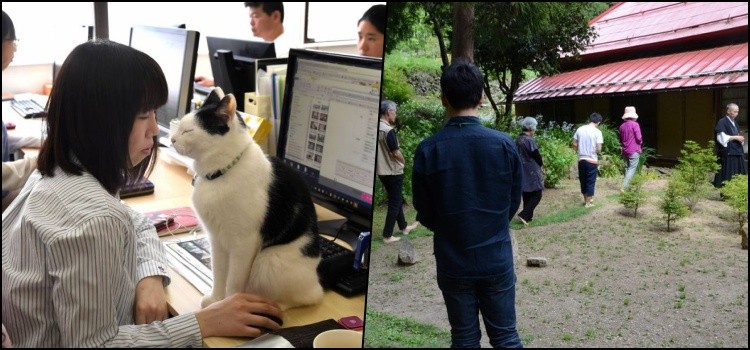 Japanische Praktiken und Techniken, um Stress abzubauen und sich zu entspannen